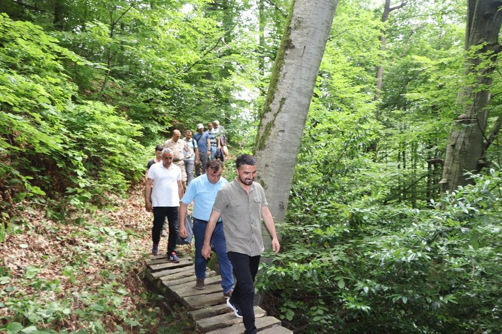 Doğa Yürüyüşleri