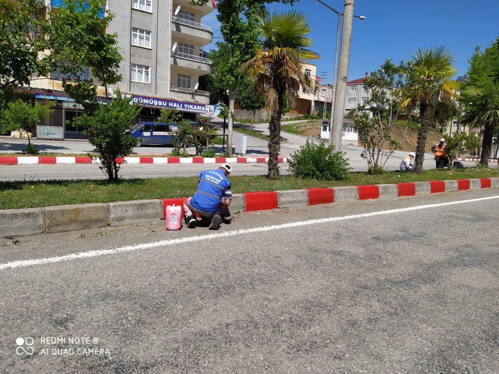 İlçemiz Genelinde Fen İşleri Müdürlüğümüzün Kent Estetiğine Katkı Sağlamak Amacıyla  Yaptığı Çalışmalarr