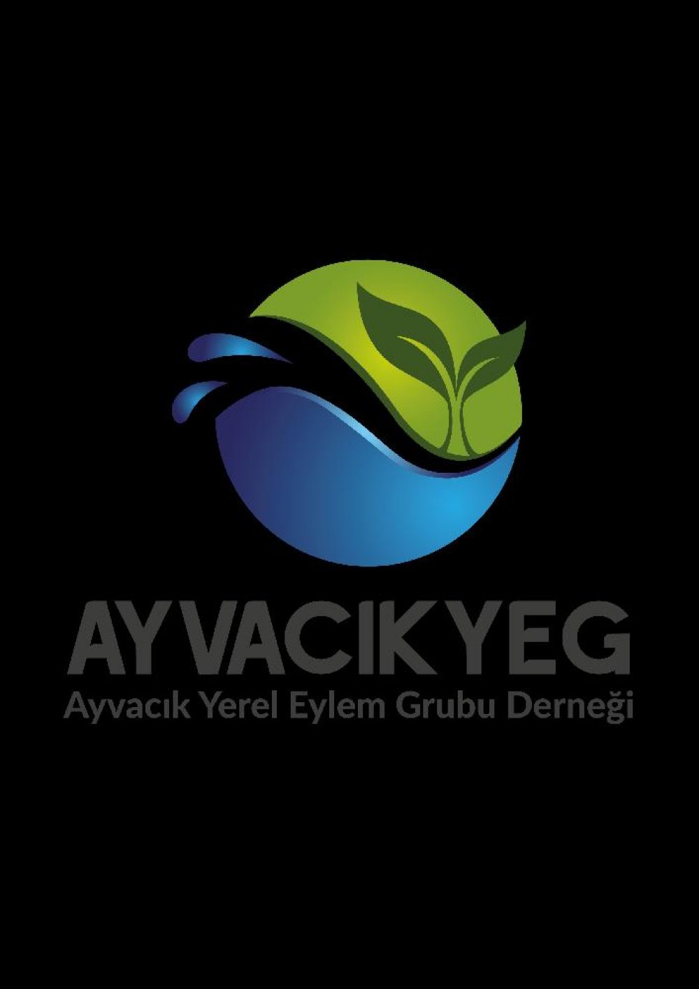 Yerel Eylem Gurubu Derneği Projesi